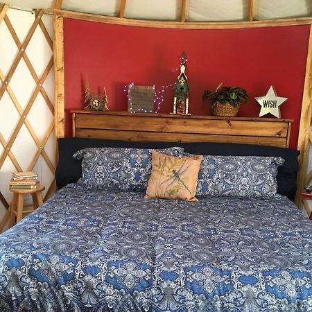 Mountain Springs Cabins Candler Esterno foto