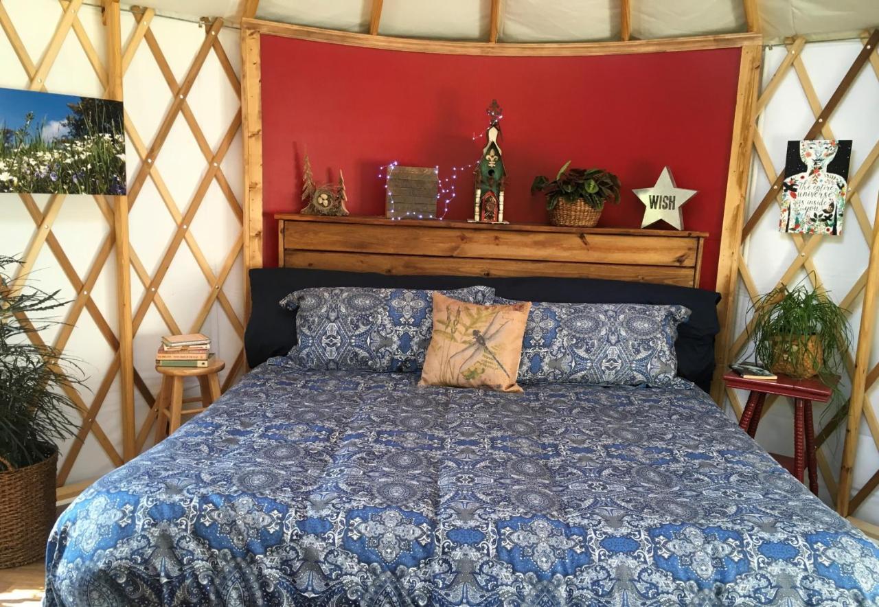 Mountain Springs Cabins Candler Esterno foto
