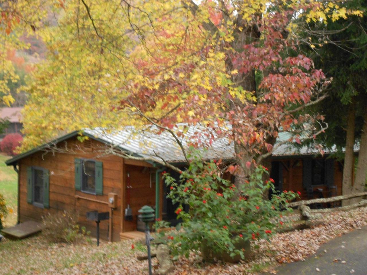 Mountain Springs Cabins Candler Esterno foto
