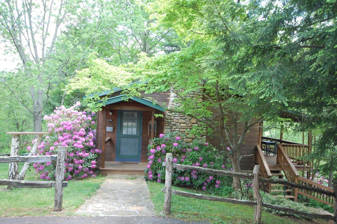 Mountain Springs Cabins Candler Esterno foto