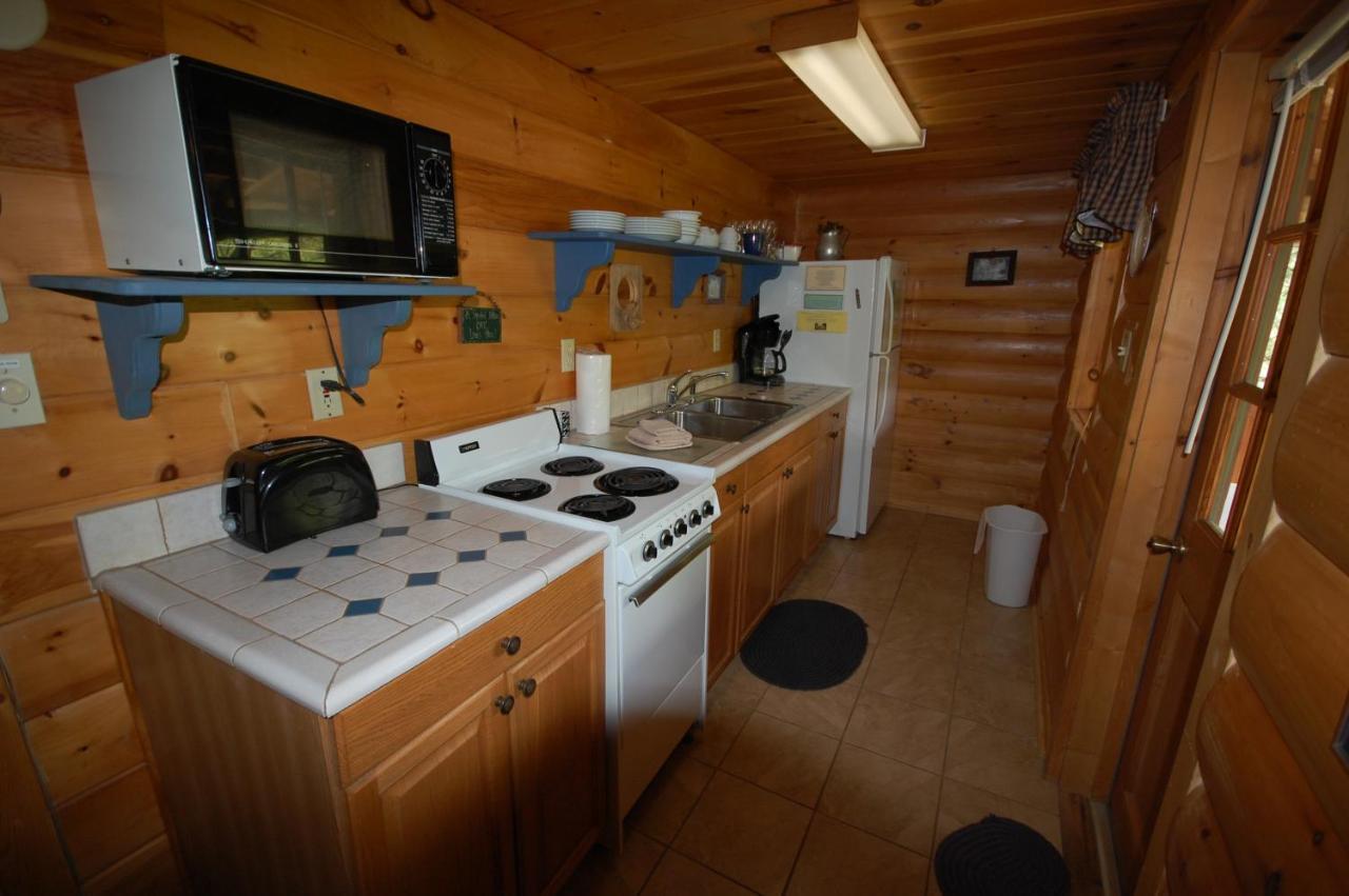 Mountain Springs Cabins Candler Esterno foto
