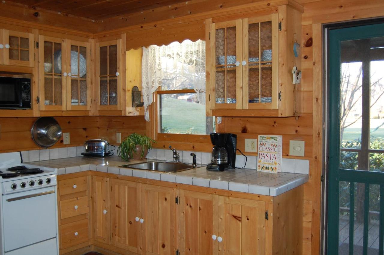 Mountain Springs Cabins Candler Esterno foto