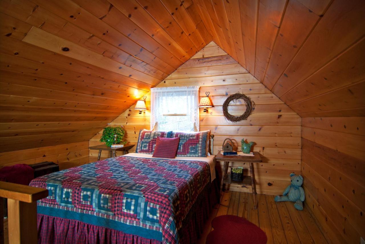 Mountain Springs Cabins Candler Esterno foto