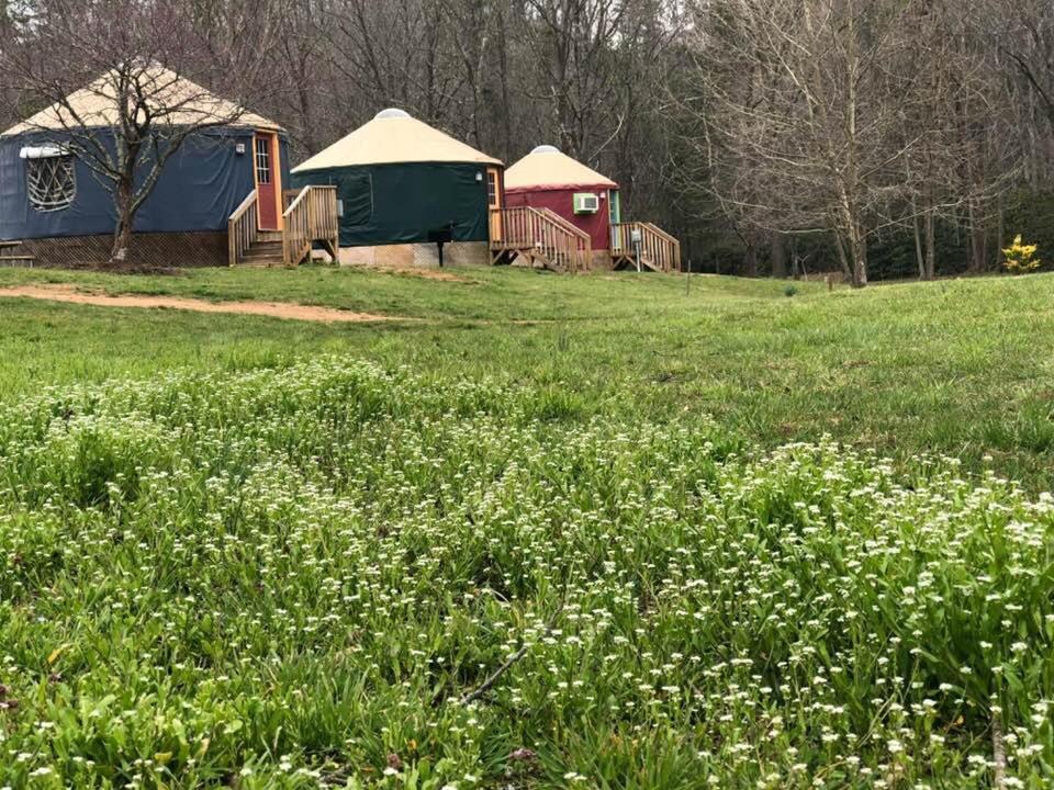 Mountain Springs Cabins Candler Esterno foto