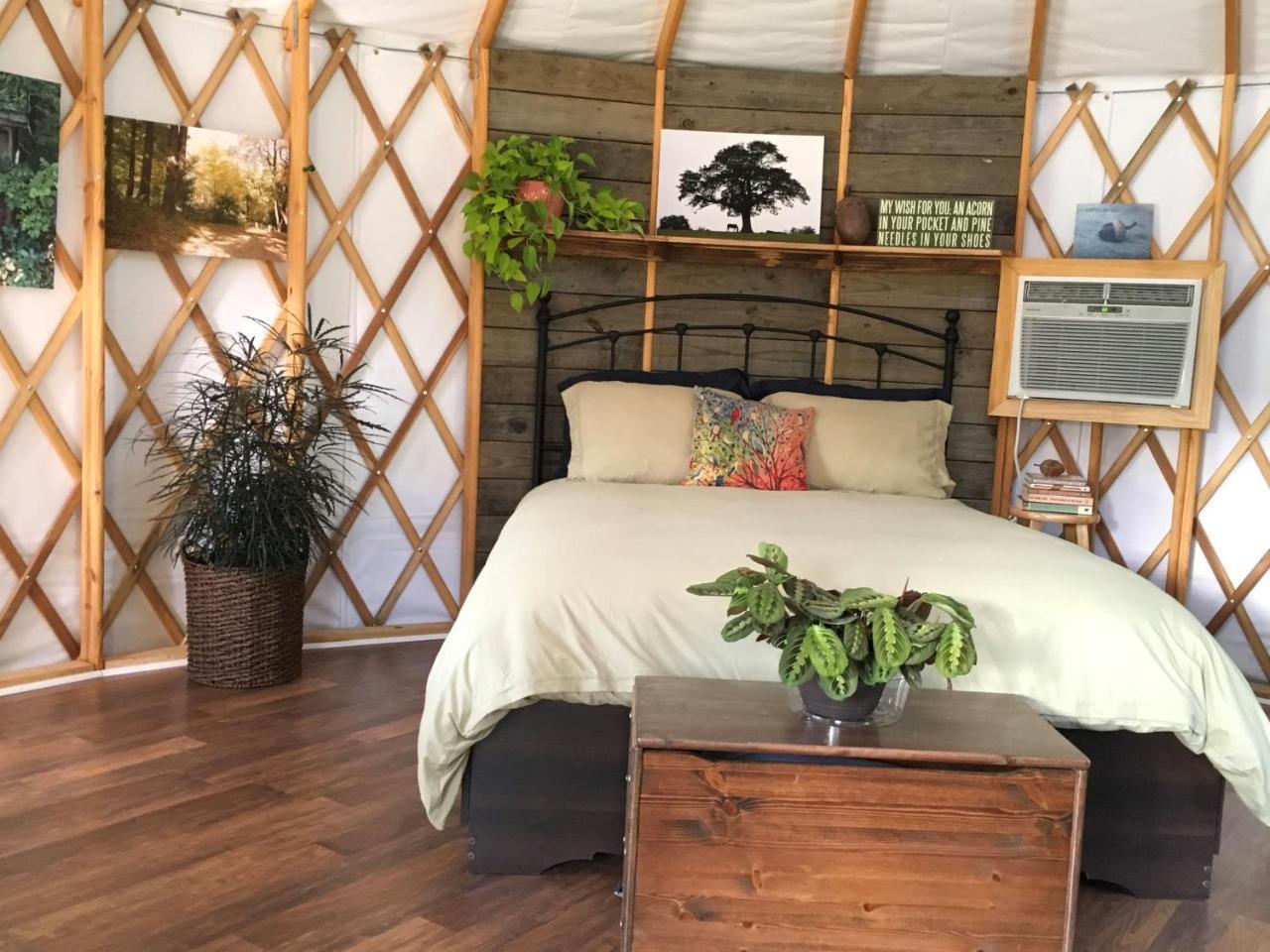 Mountain Springs Cabins Candler Esterno foto